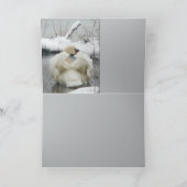 Schwan-König Karte (Innenseite)