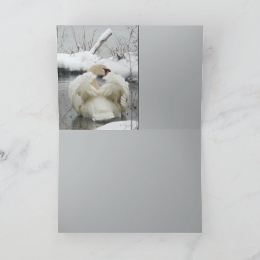 Schwan-König Karte (Innenseite)