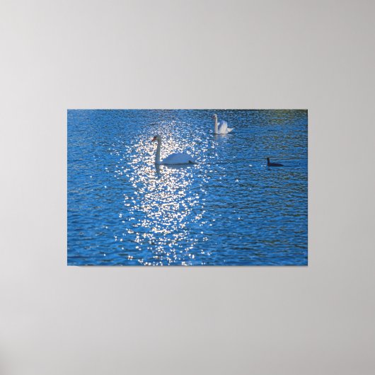 Schwan Leinwanddruck (Vorderseite)