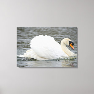 Schwan Leinwanddruck