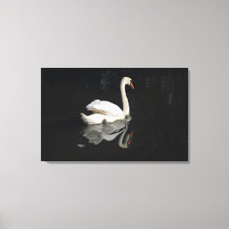 Schwan Leinwanddruck