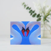 Schwan-Liebe, romantisches Herz-geformte Hälse Postkarte (Stehend Vorderseite)