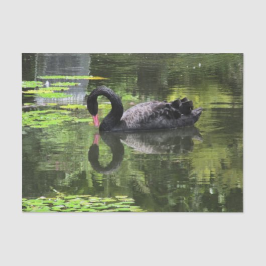 Schwan-Liebe Seidenpapier (Vorderseite)