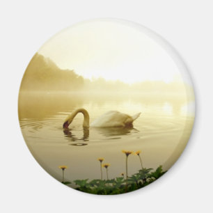Schwan Magnet