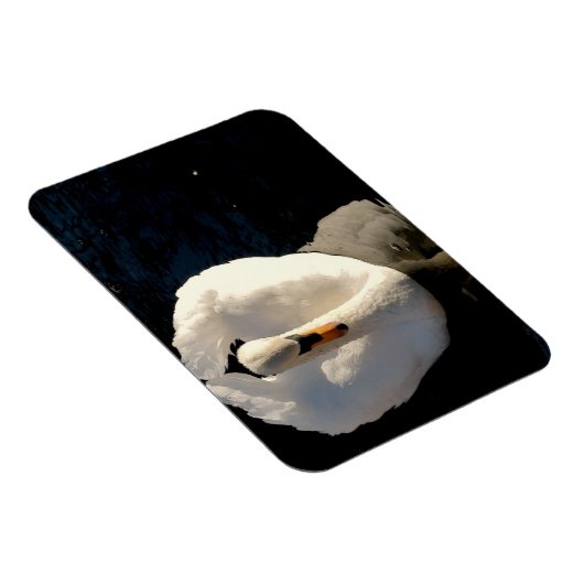Schwan Magnet (Rechte Seite)