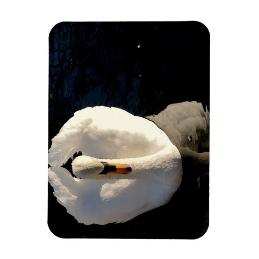 Schwan Magnet (Vertikal)