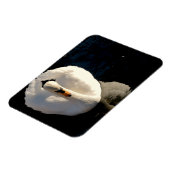 Schwan Magnet (Linke Seite)