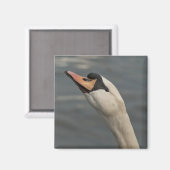 Schwan Magnet (Vorderseite/Rückseite)