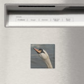 Schwan Magnet (In Situ (Geschirrspüler))