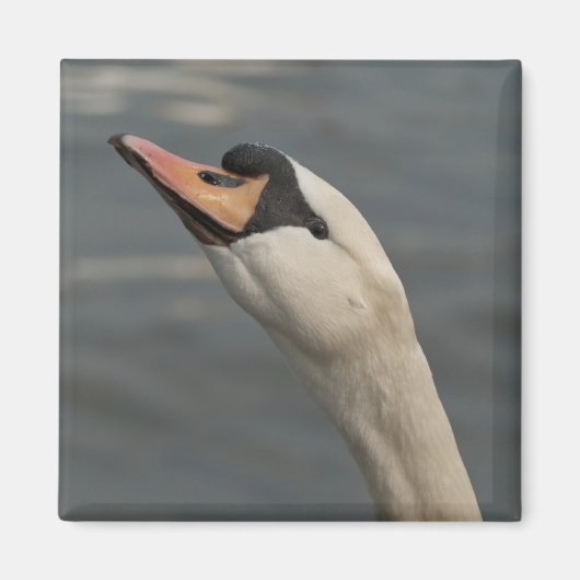 Schwan Magnet (Vorne)