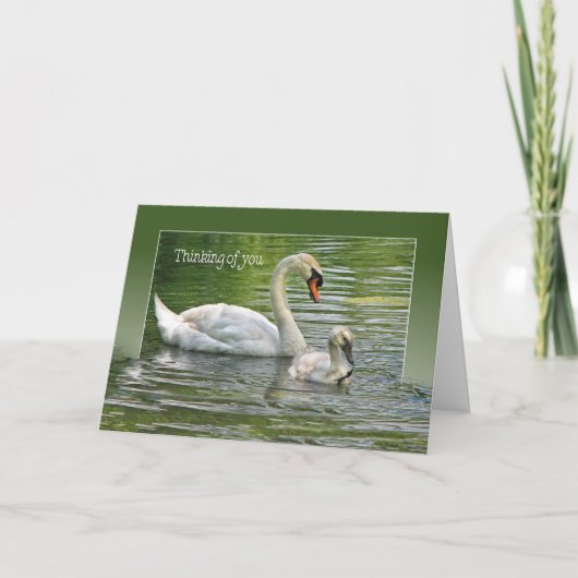 Schwan mit Cygnet, um an Sie zu denken Karte (Vorderseite)