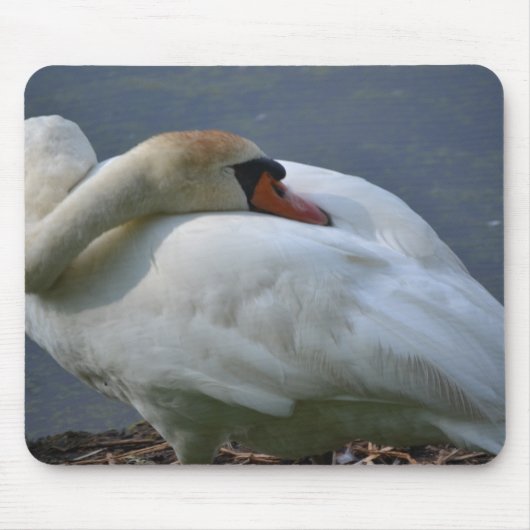 Schwan Mousepad (Vorne)