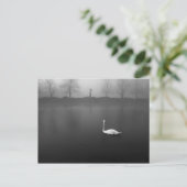 Schwan, nebeliger Morgen Postkarte (Stehend Vorderseite)