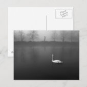 Schwan, nebeliger Morgen Postkarte (Vorne/Hinten)