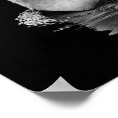 Schwan Poster (Ecke)
