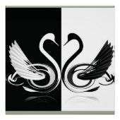Schwan Poster (Vorderseite)