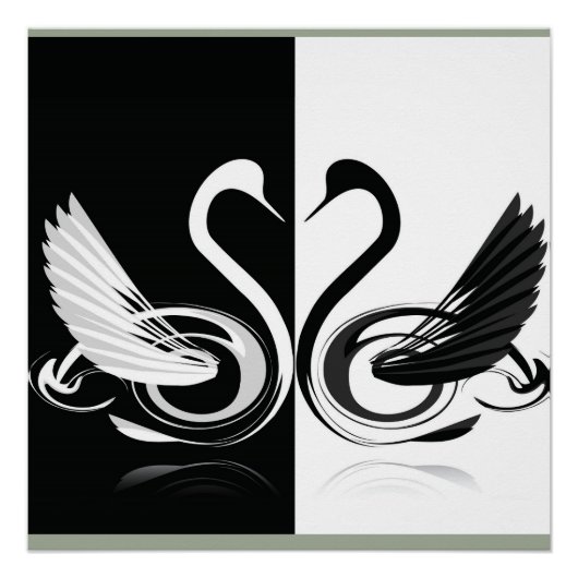 Schwan Poster (Vorderseite)