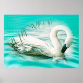 Schwan Poster (Vorne)