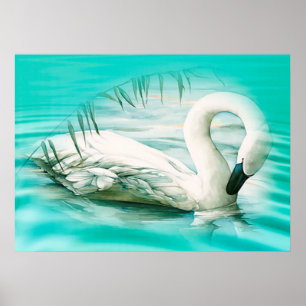 Schwan Poster