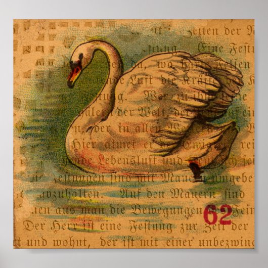 Schwan Poster (Vorne)