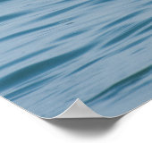 Schwan Poster (Ecke)