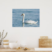Schwan Poster (Küche)