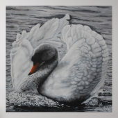Schwan Poster (Vorne)