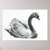 Schwan Poster (Vorne)