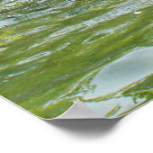 Schwan Poster (Ecke)