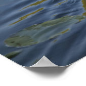 Schwan Poster (Ecke)