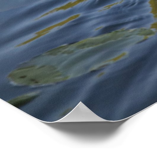 Schwan Poster (Ecke)