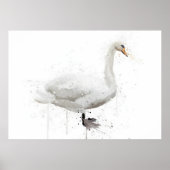Schwan Poster (Vorne)