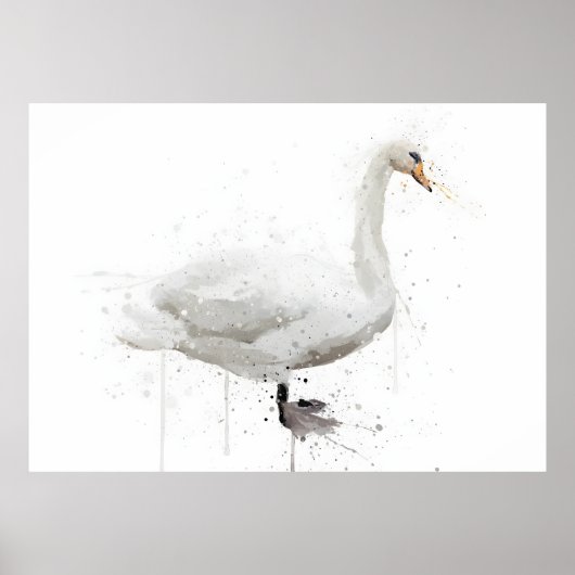 Schwan Poster (Vorne)