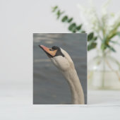 Schwan Postkarte (Stehend Vorderseite)