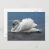 Schwan Postkarte (Vorne/Hinten)