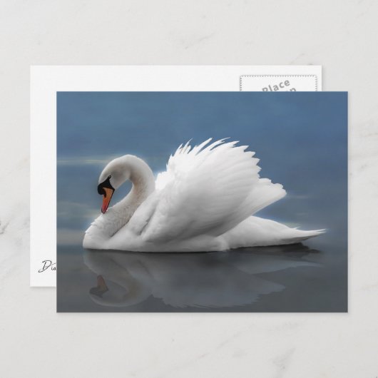 Schwan Postkarte (Vorne/Hinten)