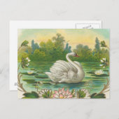 Schwan Postkarte (Vorne/Hinten)