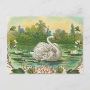 Schwan Postkarte