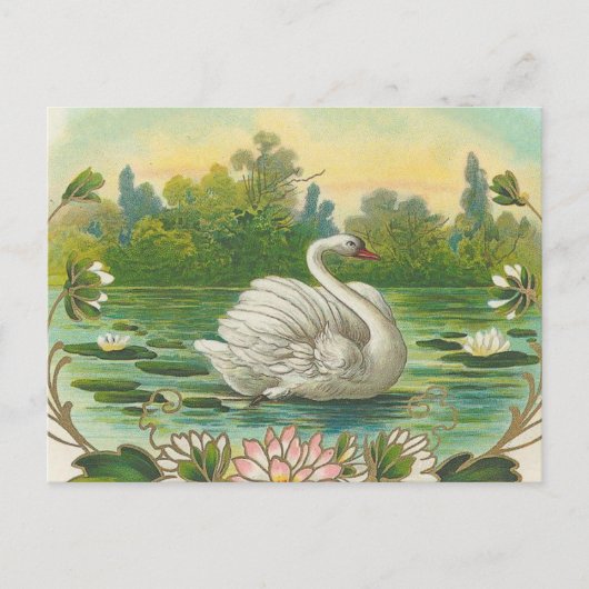Schwan Postkarte (Vorderseite)