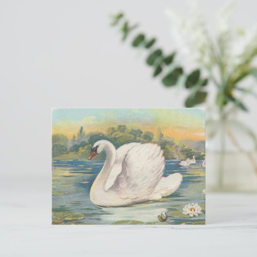 Schwan Postkarte (Stehend Vorderseite)