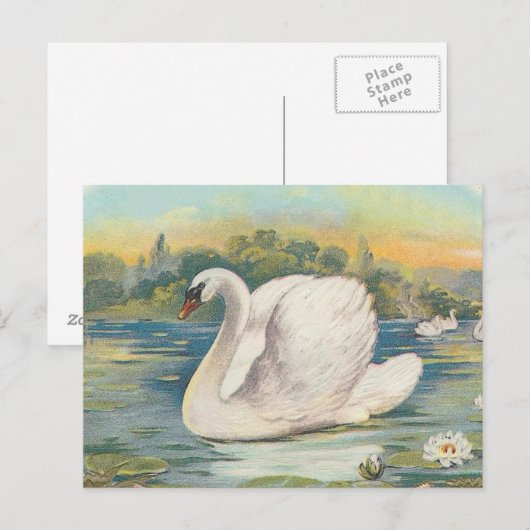 Schwan Postkarte (Vorne/Hinten)