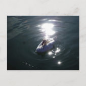 Schwan Postkarte (Vorderseite)