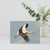 Schwan Postkarte (Stehend Vorderseite)