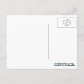 Schwan Postkarte (Rückseite)