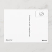 Schwan Postkarte (Rückseite)