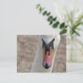 Schwan Postkarte (Stehend Vorderseite)