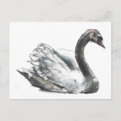 Schwan Postkarte (Vorderseite)