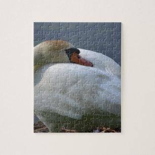 Schwan Puzzle