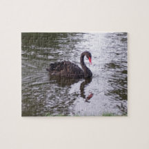 Schwan