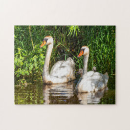 Schwan Puzzle